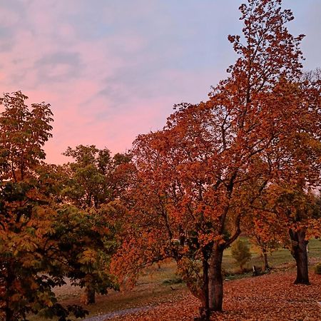 Soderkulla  Joensuun Tilan Paeaerakennus B&B 외부 사진